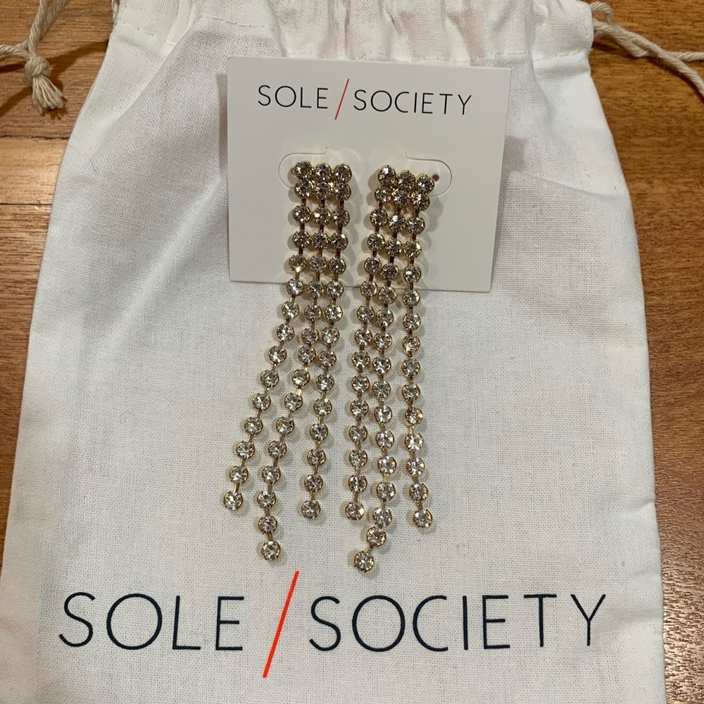 Sole Society Dangling Earrings